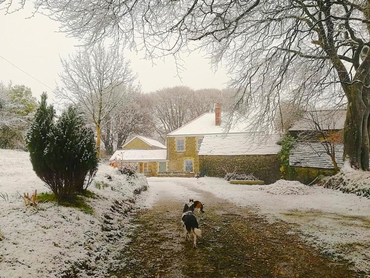 Cornwall, Looe - Magical Pendriffey Pelynt Exterior foto